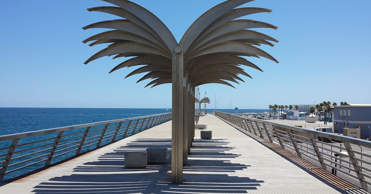 Biodegradable Decking Solutions: A Growing Trend