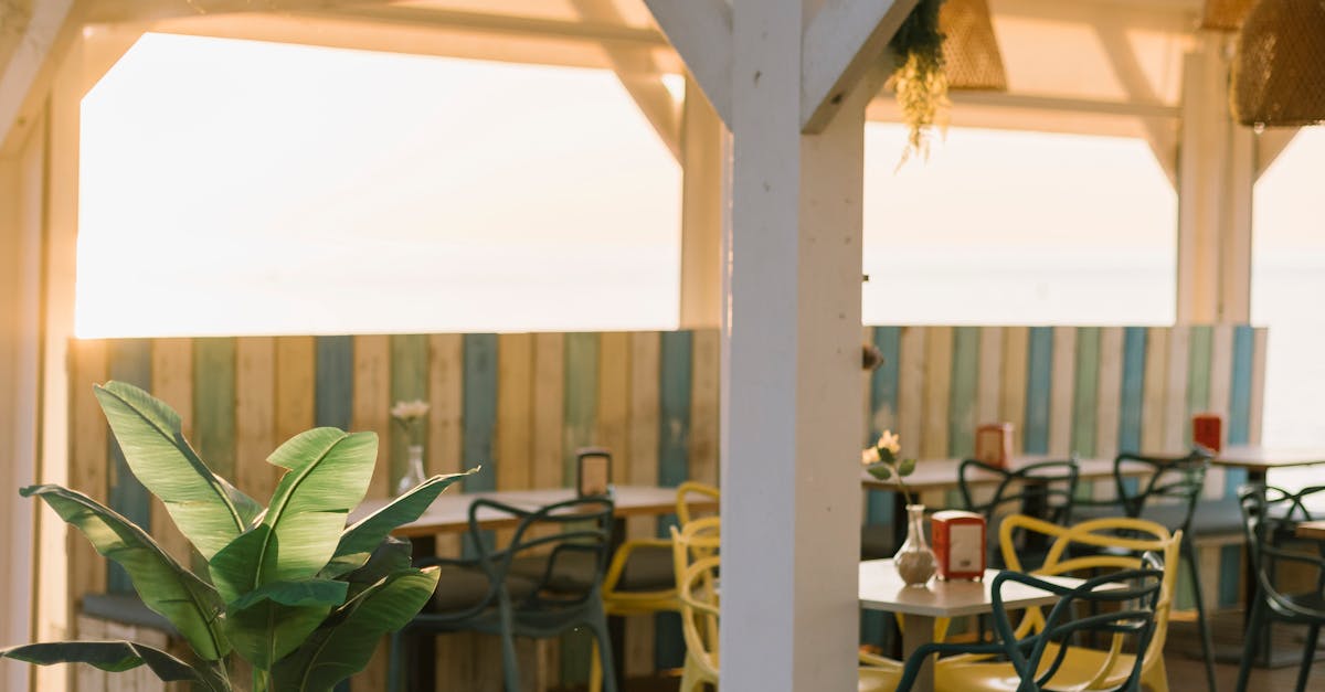 Effective Strategies for Preventing Deck Rot