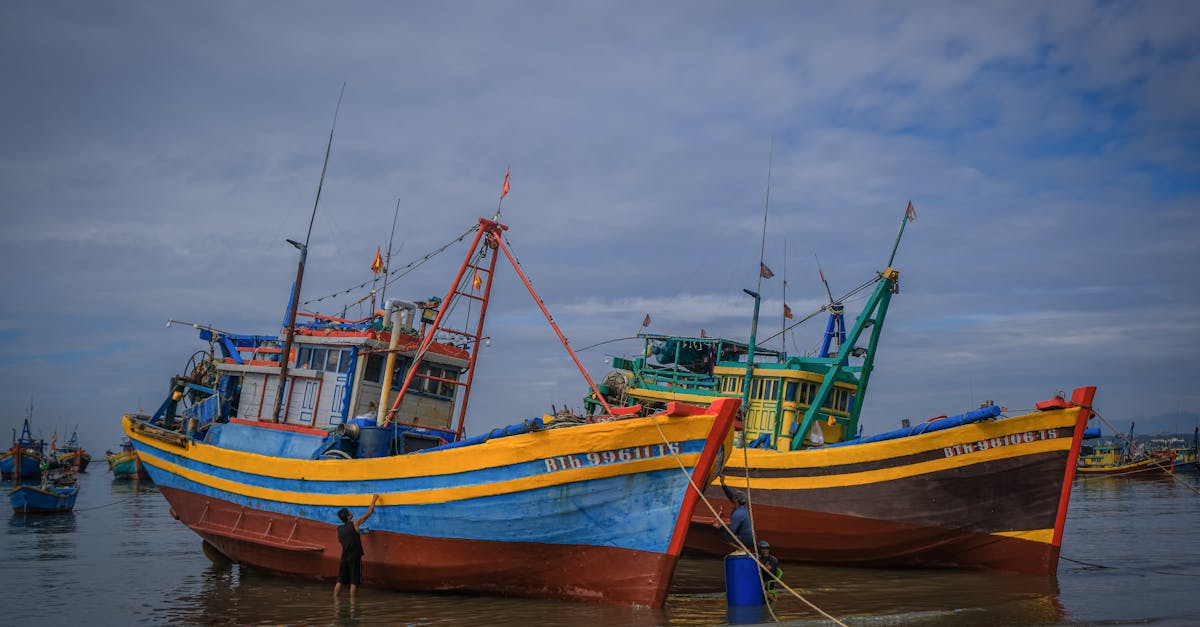 Enhancing Functionality through Thoughtful Deck Layout Planning