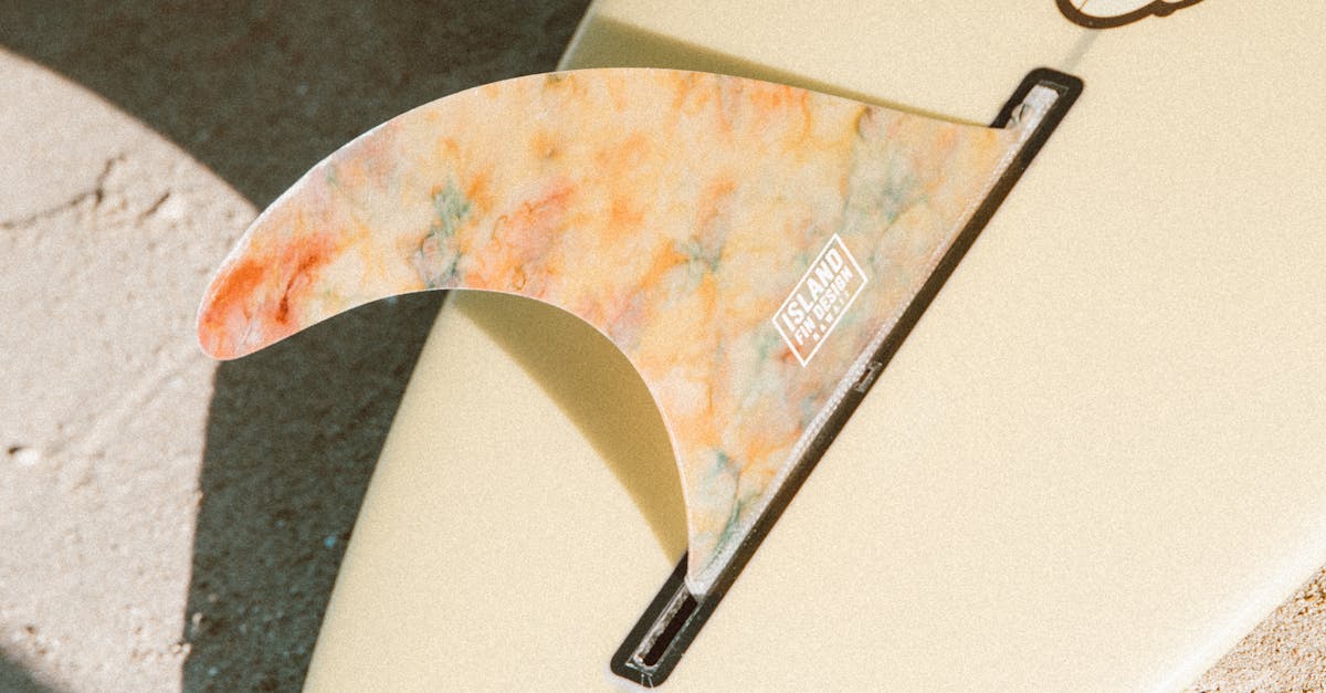 Evaluating Oil-Based vs Water-Based Deck Sealers