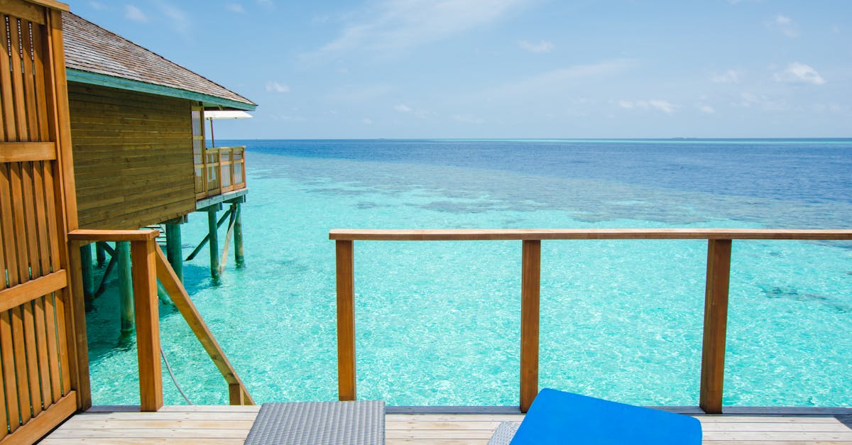 How to Choose Between Different Timber Species for Decking