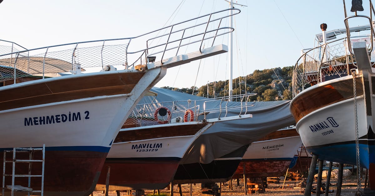 Seasonal Checklists for Deck Maintenance