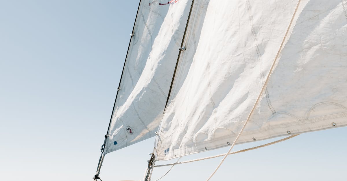 Sustainable Timber Choices for Eco-Friendly Decking