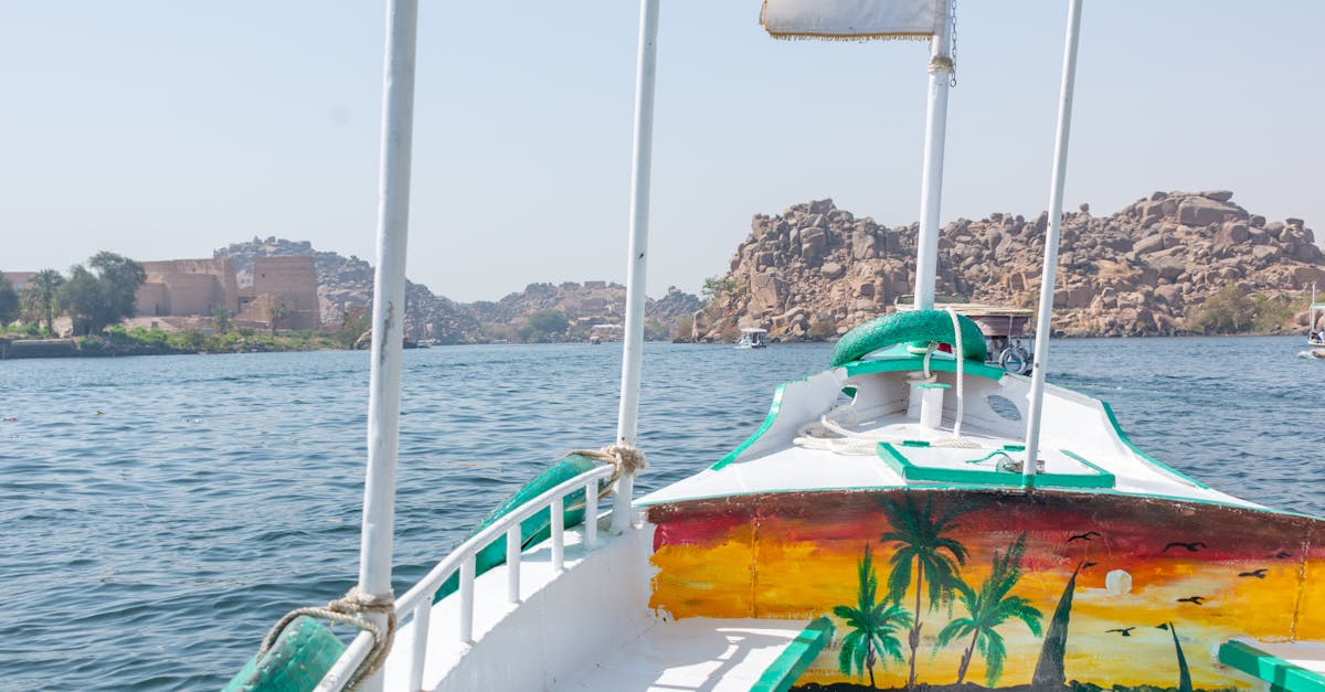 The Aesthetic Appeal of Timber Decking in Coastal Homes