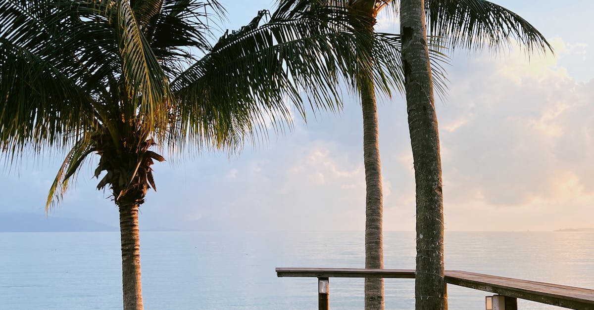 The Role of Handrails in Deck Safety Compliance