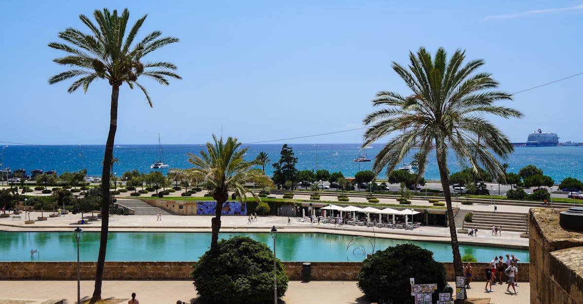 Timely Repairs: Preventing Further Damage to Your Deck